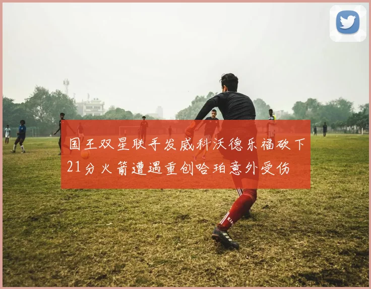 国王双星联手发威科沃德乐福砍下21分火箭遭遇重创哈珀意外受伤