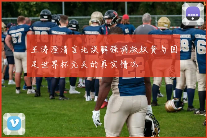 王涛澄清言论误解强调版权费与国足世界杯无关的真实情况